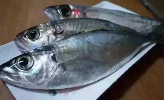 南海翡翠，海南的历史变迁与梦想承载