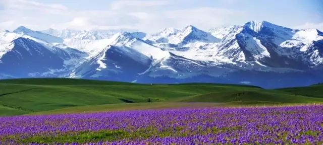 新疆，历史长河中的璀璨明珠闪耀光芒